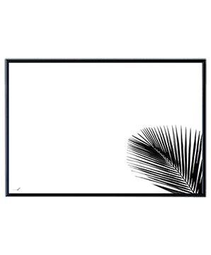 PALM BW
